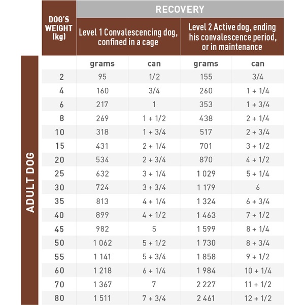 Pate Royal Canin Recovery lon 195g phục hồi sức khỏe cho chó mèo, 1 hộp
