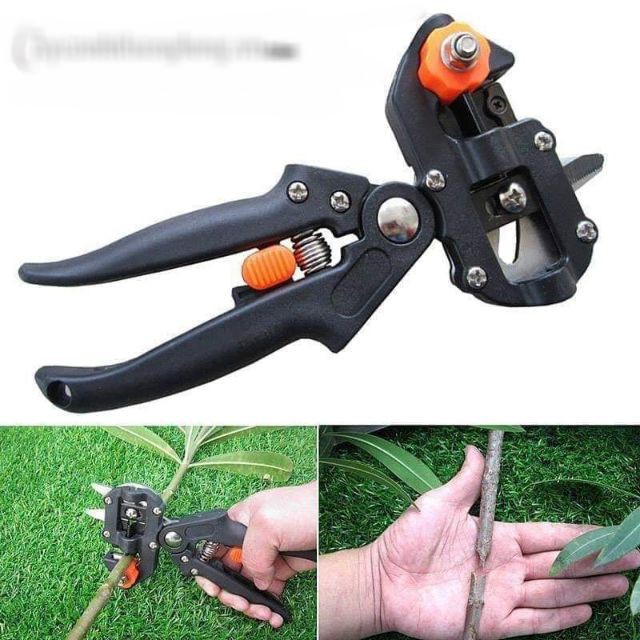 Kéo chiết ghép tỉa cành cây đa năng