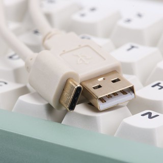 Cable TypeC Xoắn - Cổ điển - Điện thoại bàn