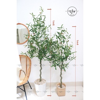 Cây giả, Cây Oliu giả cao cấp 1m4,1m6