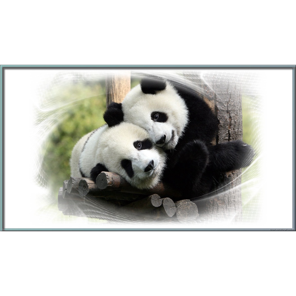 Tranh ghép hình PANDA - Mẫu 2 - Nhận in theo yêu cầu