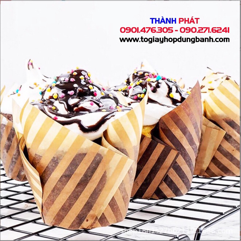 200 Cupcake lá đựng bánh bông lan - bánh kem - cup lace dùng để trang trí