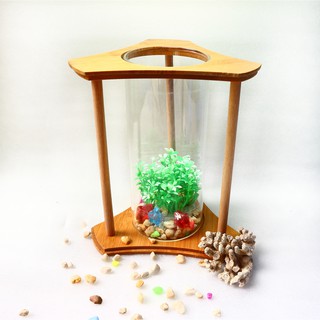 Bể cá mini trụ gỗ