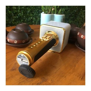 Micro Hát Karaoke Sd09 Âm Cực Chuẩn - Bh 3 Tháng - Hoàng Yến Computer