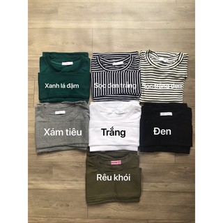 ÁO CROTOP TAY DÀI (kèm hình thật)