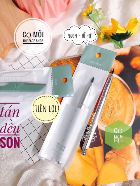 CỌ MÔI THE FACE SHOP