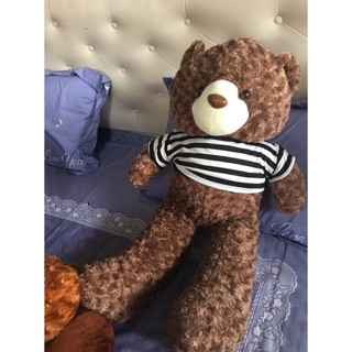 Gấu teddy khổ vải 1m