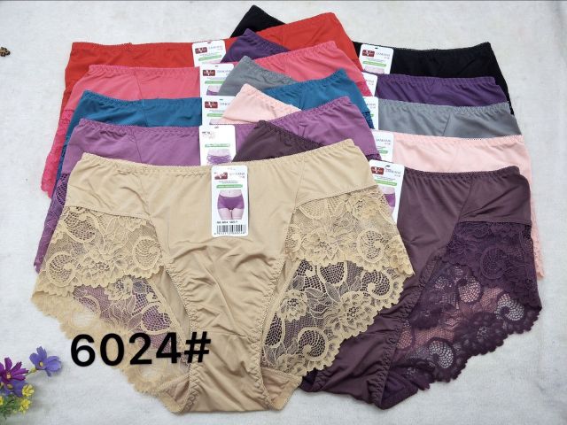 Sỉ 10 Quần Lót Phom To 60-80kg 6021