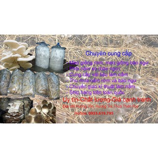 Bột lông vũ cao cấp
