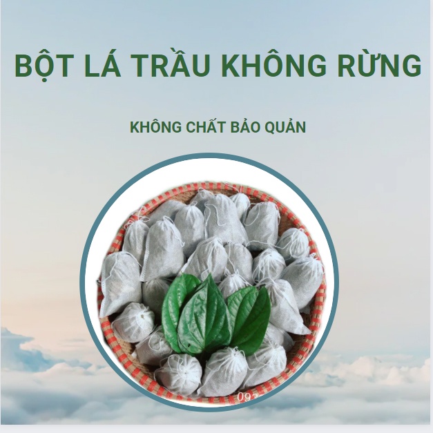 BỘT LÁ TRẦU KHÔNG RỪNG TỰ NHIÊN