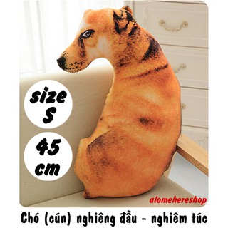 Chó cún nghiêng đầu liếc nhìn - nghiêm túc Size S 45cm Có Clip Thực Tế