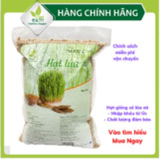 Hạt giống cỏ lúa mì 1kg (Wheatgrass)