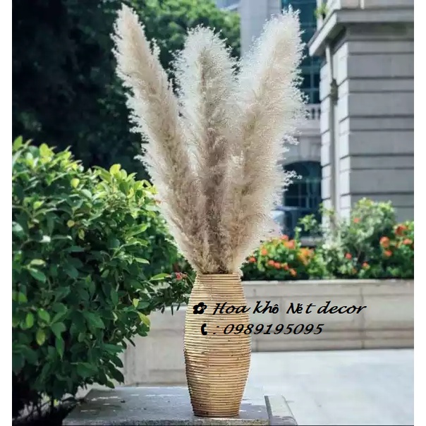 🌸 Cành Lau xù size lớn decor trang trí 🌸 Cành Lau xù cao dài hàng đẹp