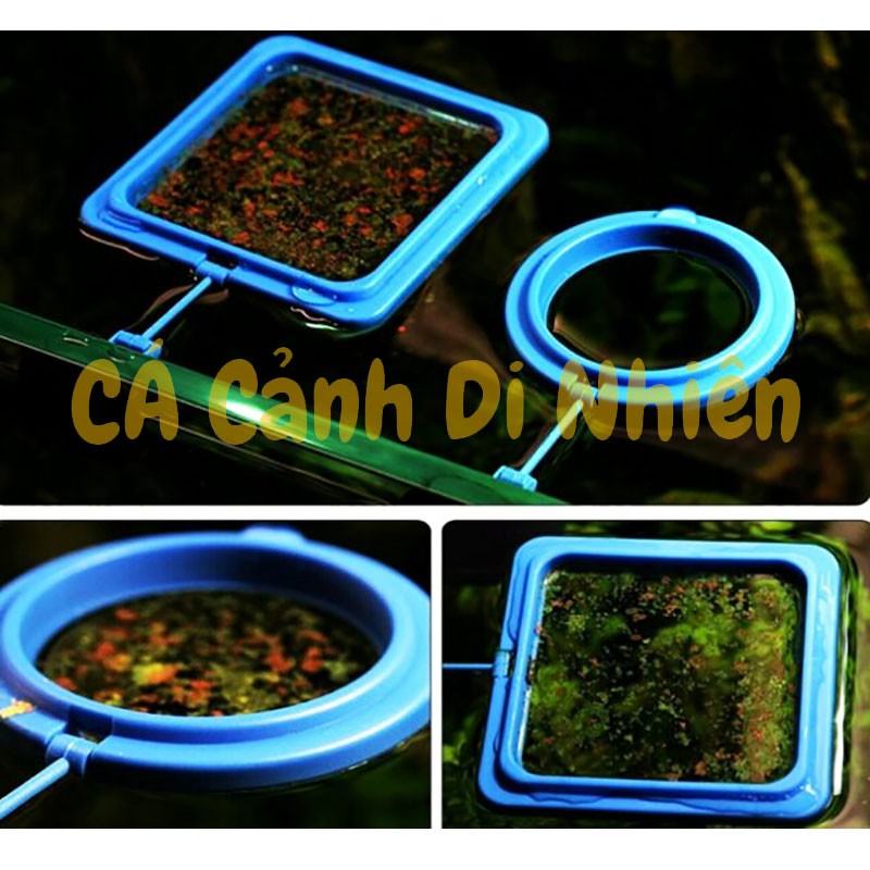 Vòng tròn cho cá ăn - vòng giữ thức ăn không bị phân tán Aquablue FL-75