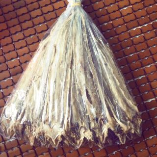 Cá đét không tẩm