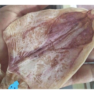 [Cực ngọt] Gói 15 Con Mực Câu Khô Vân Đồn To 4 Ngón Tay