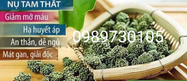 NỤ TAM THẤT BAO TỬ VIP KHÔNG CUỐNG 500G