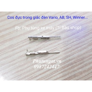 Cos Đực trong giắc đèn chính AB, Vario, SH... ( 1 bịch 50 cái)
