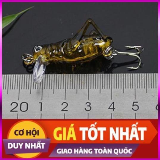 [Xả Kho 3 Ngày] Mồi Châu Chấu - MỒI Côn Trùng