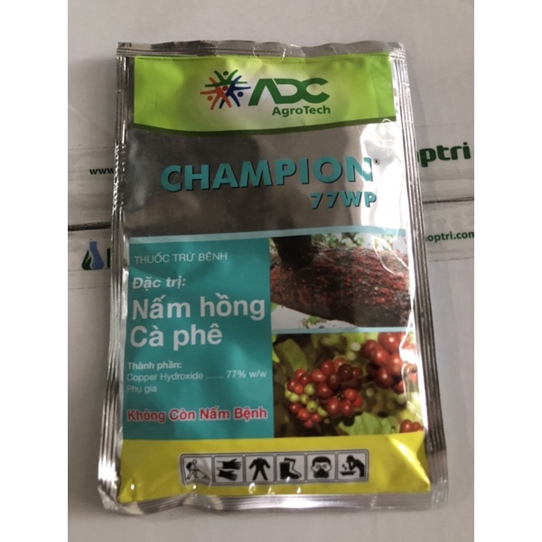 nấm hồng cafe CHAMPION của ADC