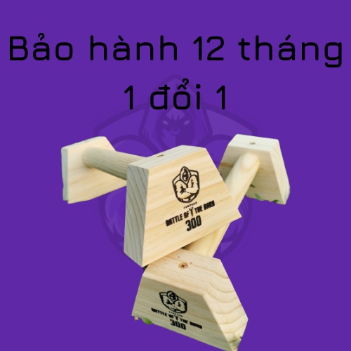 [SIÊU BỀN] Dụng cụ hít đất Parallettes 34cm có ĐẾ CHỐNG TRƠN TRƯỢT - M2