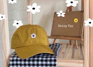 Nón daisy by vjay