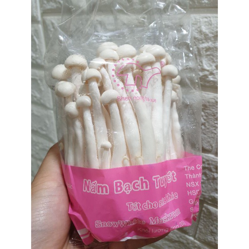 Nấm kim châm - Nấm hải sản