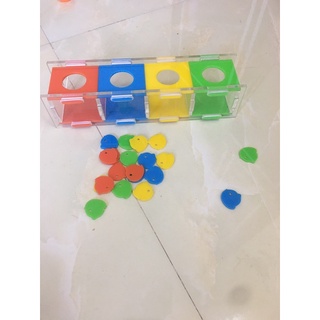 Combo bộ đồ chơi huấn luyện vẹt