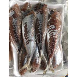CÁ ĐỐM NỤC NỘT DA - 1kg