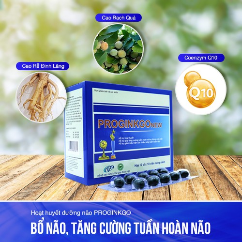 (Sale) Combo 2 hộp hoạt huyết dưỡng não ProginkgoNew – cao Rễ Đinh Lăng, Cao Bạch Quả – Bổ não, tăng cường tuần hoàn não