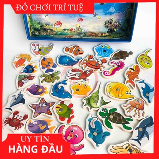 Đồ chơi câu cá bằng gỗ nam châm 32 loài sinh vật biển dành cho bé từ 2 đến 4 tuổi