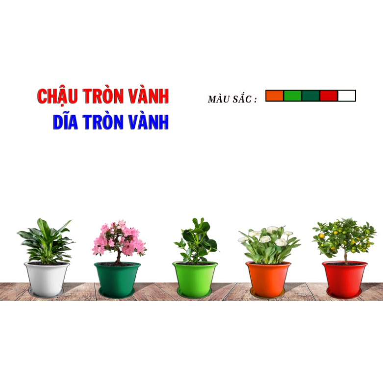 5 Chậu Tròn Vành 20x13cm Nhiều Màu Trồng Cây, Hoa kiểng (Combo 5 Chậu)