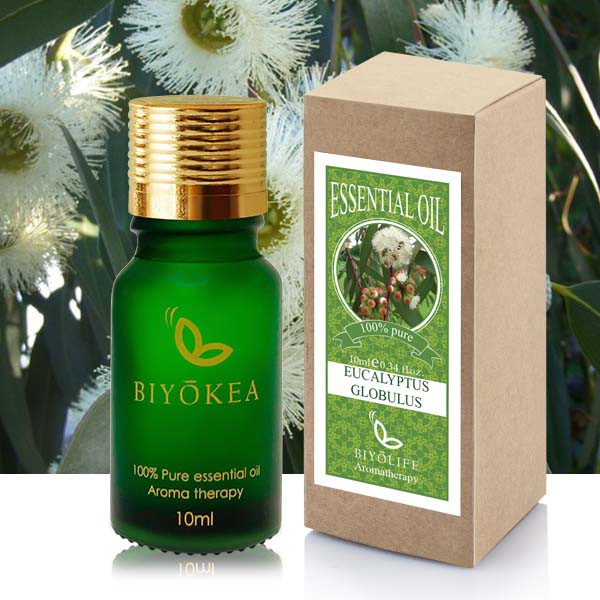 Tinh dầu Khuynh Diệp 50ml