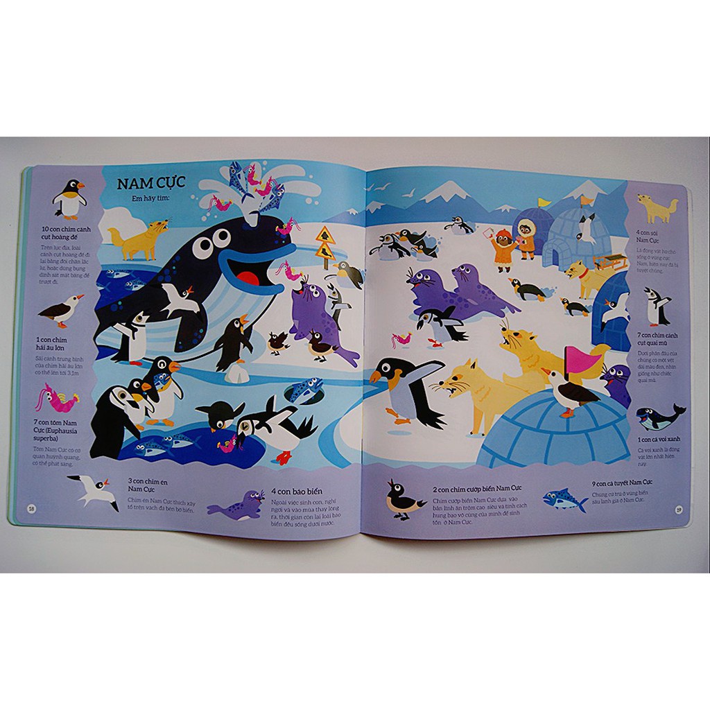 Sách Tìm kiếm thông minh - Phát triển khả năng tập trung