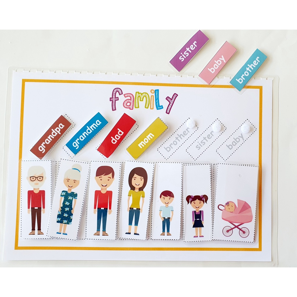 19 Trang Học Liệu Montessori Tiếng Anh Cho Bé -Chủ Đề Thân Thuộc- Học Liệu Bóc Dán-Học Liệu Cho Bé- Ép Plastic Bền Chắc