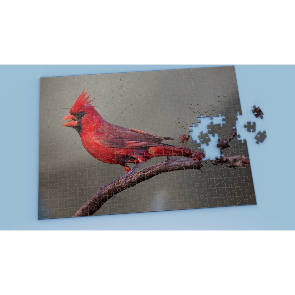 Tranh ghép hình BIRD - Mẫu 11 - Nhận in theo yêu cầu