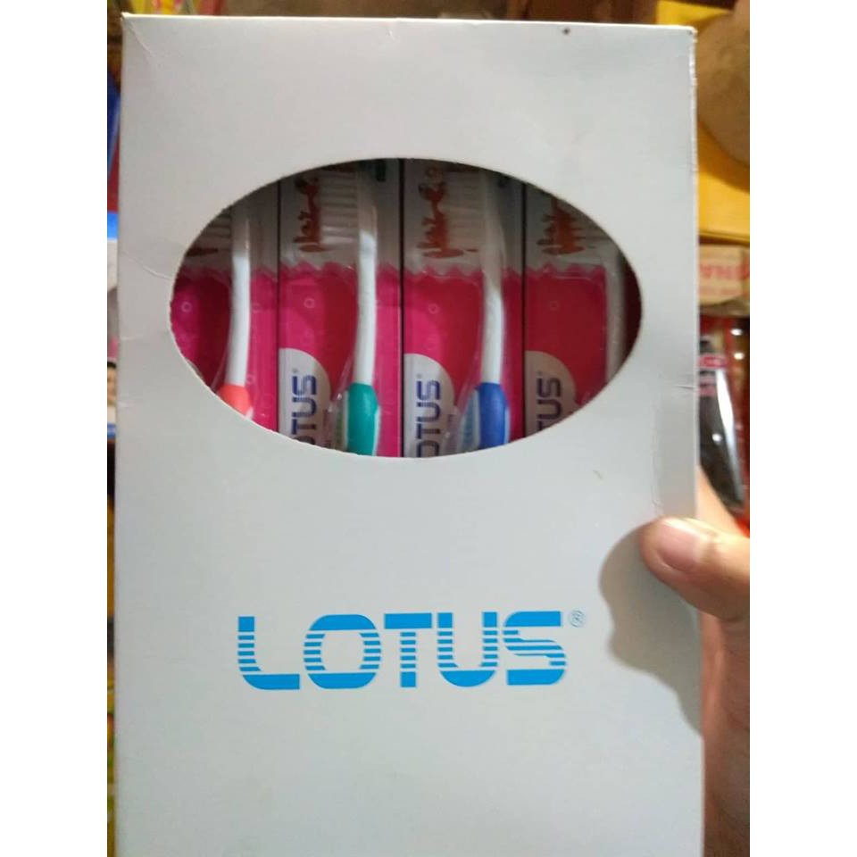 20 bàn chải đánh răng trẻ em Lotus ( 1 hộp )