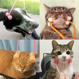 CÂY GẬY MASSAGE CHO THÚ CƯNG CHÓ MÈO