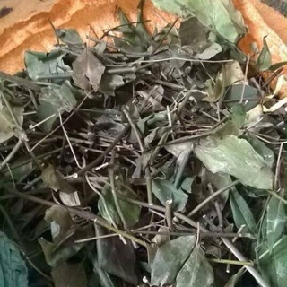 Chè vằng