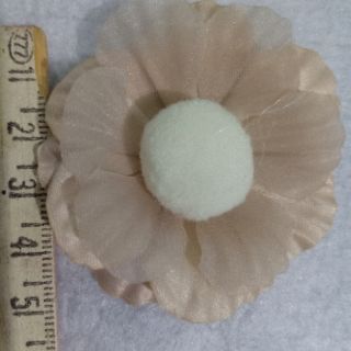 Hoa rơi nhụy bông