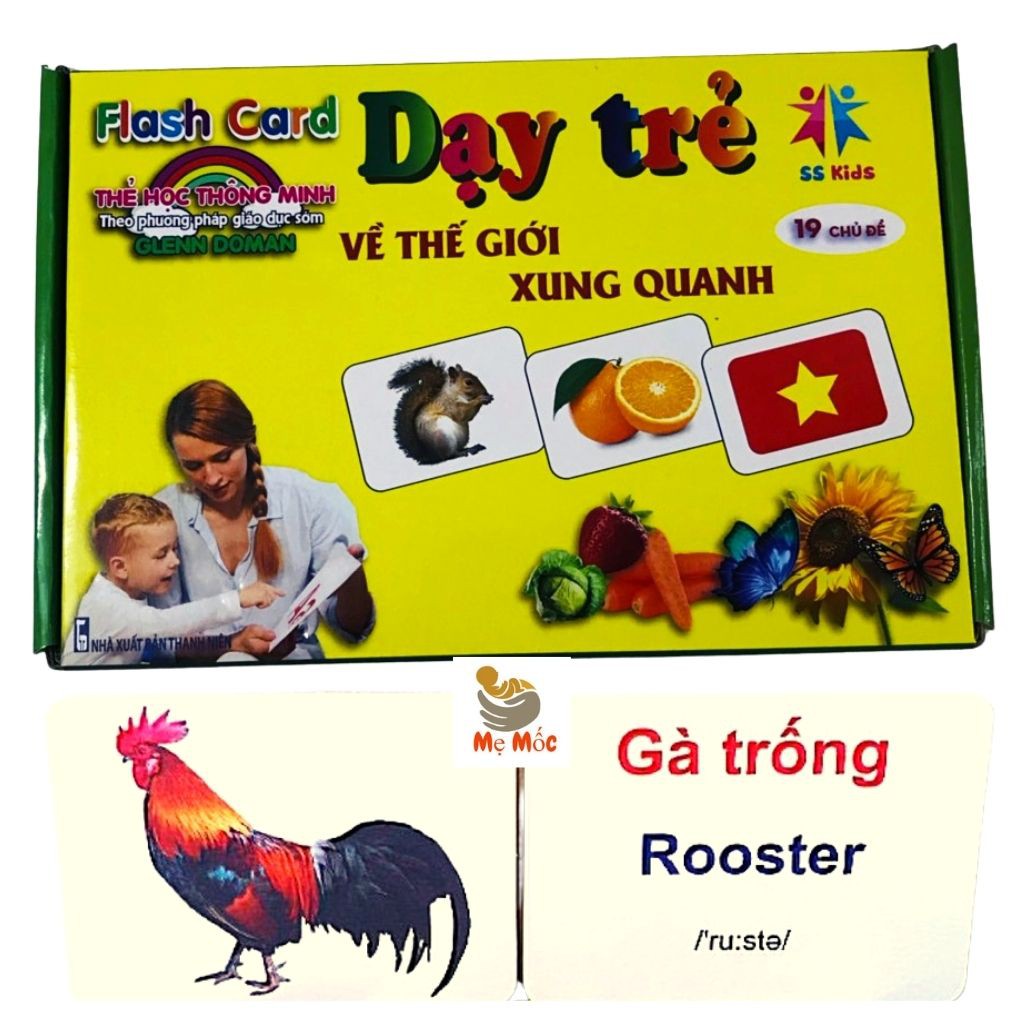 Thẻ Flashcard Glenn Doman Song Ngữ Anh Việt - Thẻ Học Thông Minh Nhận Biết Hình Ảnh,Từ Vựng Size To Cho Bé -Shop Mẹ Mốc