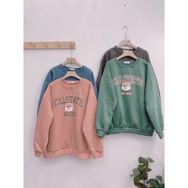 [Mã 12FASHIONSALE1 giảm 10K đơn 50K] Sweater nỉ cổ tròn các mẫu siêu xinh tay tay bồng (hàng có sẵn) | BigBuy360 - bigbuy360.vn
