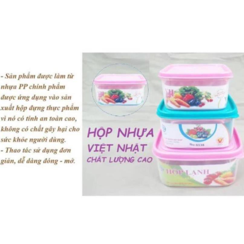 Hộp nhựa lạnh Việt Nhật - Đồ dùng nhà bếp tiện lợi