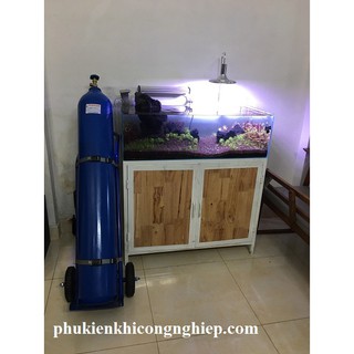 Xe đẩy một bình oxy 3 bánh model 1G-3B