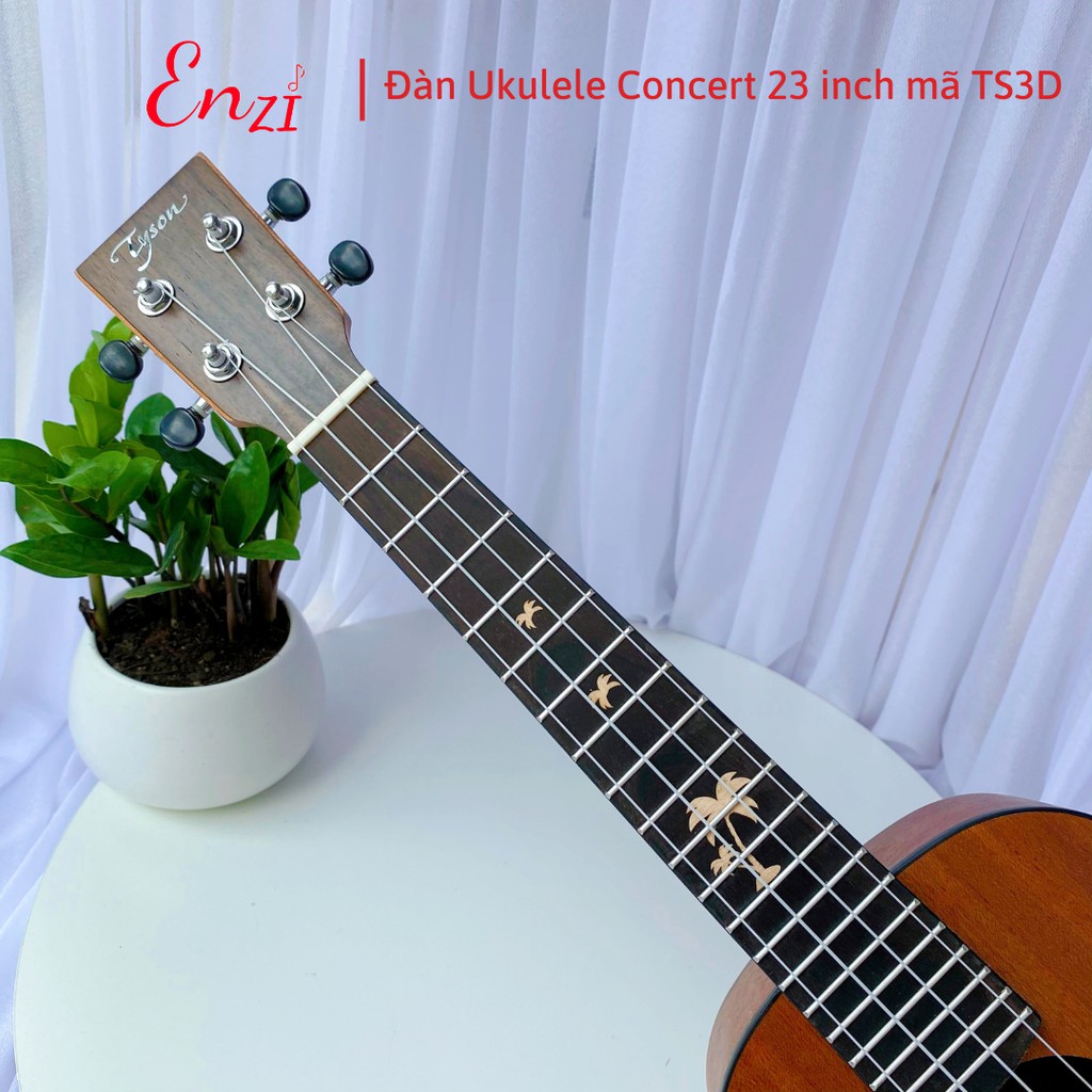 Đàn ukulele concert TS3D Enzi 23 inch gỗ mộc họa tiết cây dừa khóa đúc giá rẻ cho bạn mới bắt đầu tập chơi