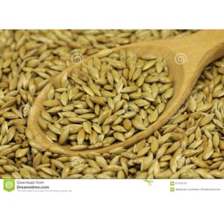 1kg hạt láng cho finch, yến hót, két.