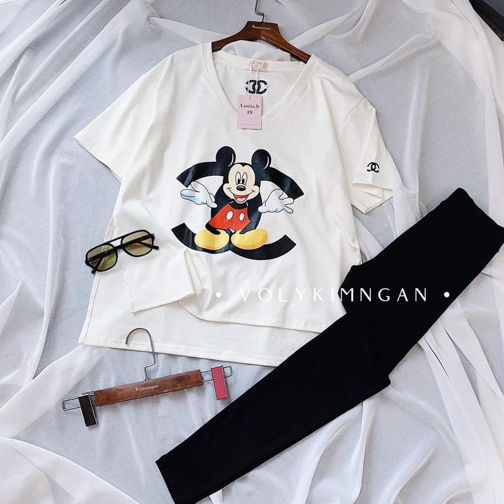 Đồ Bộ Thể Thao Cao Cấp, Thun Cotton 100%, 45kg đến 80kg vừa, P020 | BigBuy360 - bigbuy360.vn