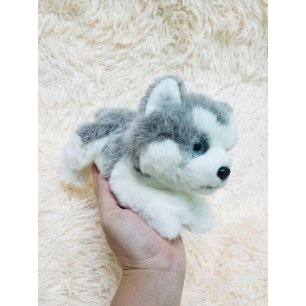 Gấu bông con chó Husky Alaska giống như thật