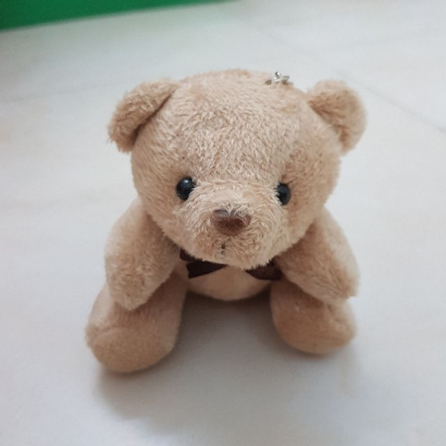 Gấu Teddy nơ