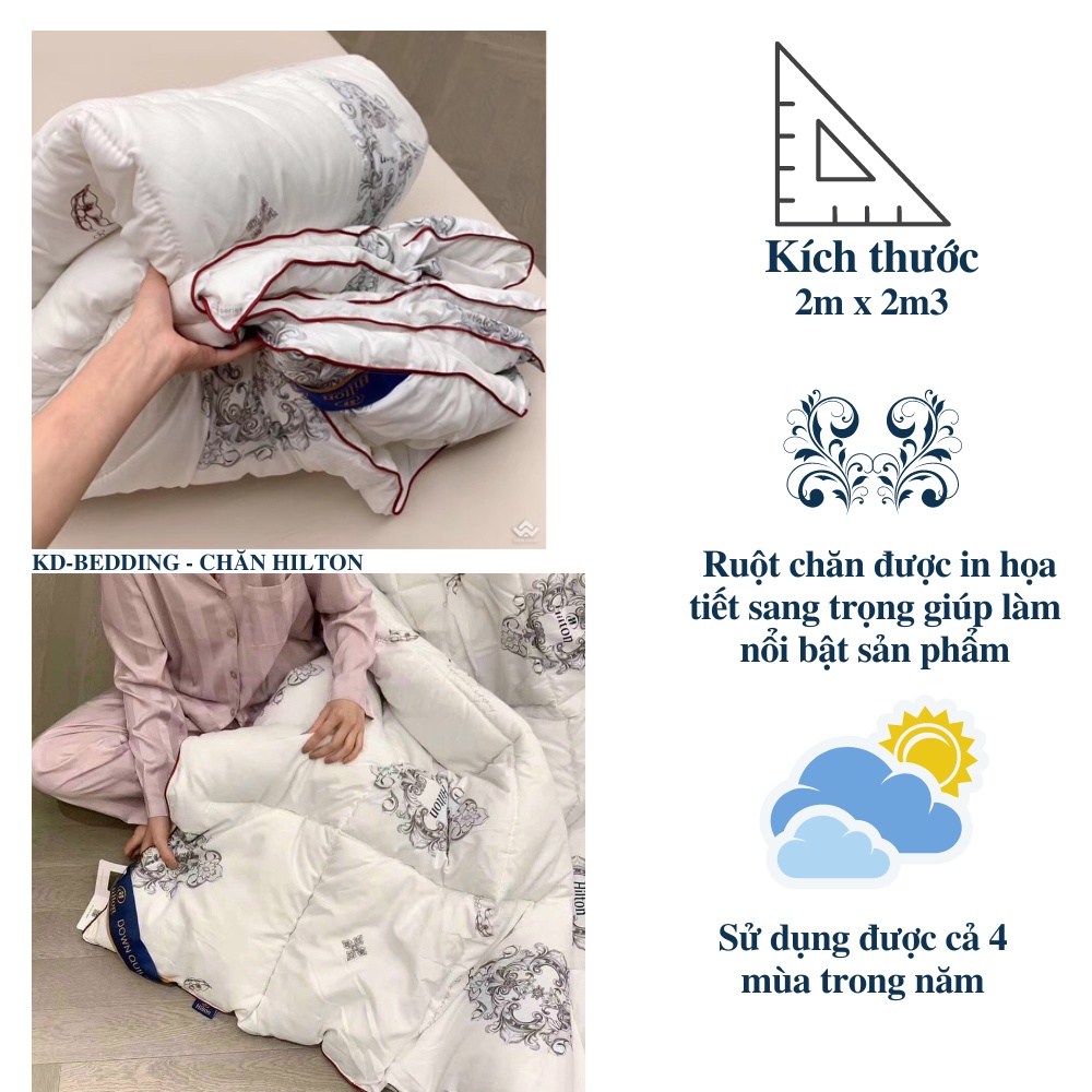 Chăn Hilton lông vũ nhập khẩu cao cấp Mền phao lông vũ siêu nhẹ êm ái KD BEDDING kích thước 2m x 2m2